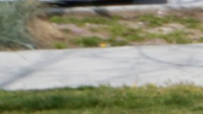 03/19/19 /LOS ANGELES/Guatemalan unaccompanied minor Yeni Cabrera, 20, celebrates her new immigration status, as a new permanent resident.   (Aurelia Ventura/La Opinion)