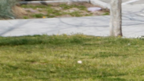 03/19/19 /LOS ANGELES/Guatemalan unaccompanied minor Yeni Cabrera, 20, celebrates her new immigration status, as a new permanent resident.   (Aurelia Ventura/La Opinion)