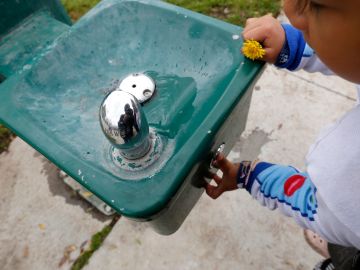 El agua potable de ciertas escuelas tiene plomo.