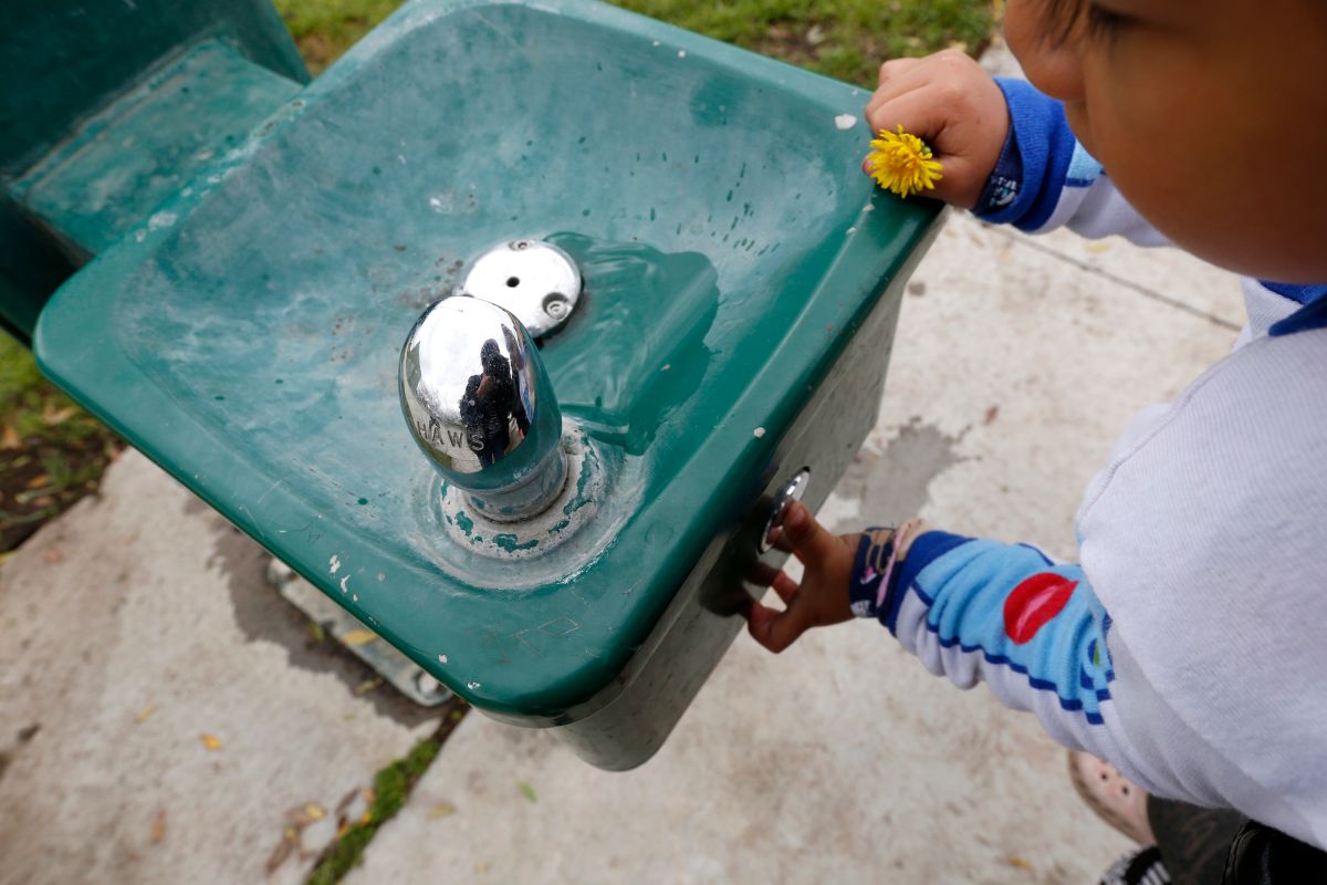El agua potable de ciertas escuelas tiene plomo.