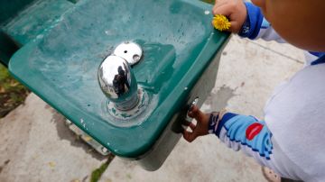 El agua potable de ciertas escuelas tiene plomo.