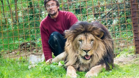 Muere a manos de uno de sus leones que tenía en casa