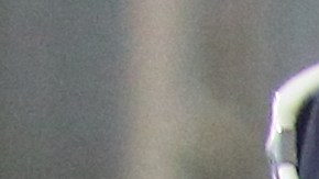 ICE dice que no hubo ningún tipo de abusos en la operación