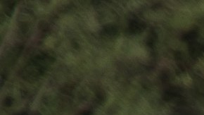 Reporte del Wall Street Journal dio a conocer la noticia