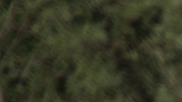 Reporte del Wall Street Journal dio a conocer la noticia