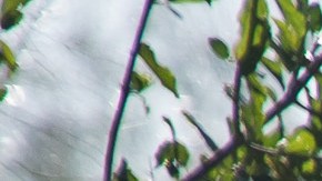 Frontera CBP U.S. Border Patrol arrests aliens illegally entering the United States