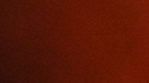 La policía de Colombia en el puente donde incendiaron la ayuda en la frontera entre Cúcuta y Venezuela.