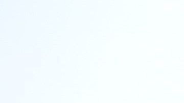 Murieron 157 personas en el Boeing 737 Max de Ethiopian Airlines.