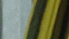 Un hombre tiroteó a los asistentes en una mezquita en Nueva Zelanda.