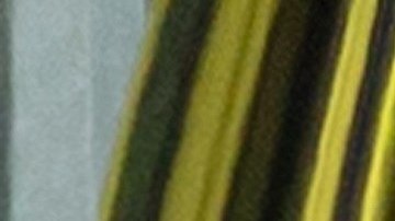 Un hombre tiroteó a los asistentes en una mezquita en Nueva Zelanda.