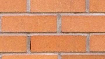 Ciudades como Nueva York, Houston, Chicago, Georgia, Boston, Filadelfia y San Antonio han tomado medidas para proteger a la comunidad musulmana.