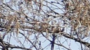 Las autoridades recibieron una llamada anónima sobre la ubicación de posibles restos humanos dentro de un canal.