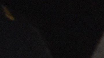 "Los Angeles Animal Save", Ana Valverde, da de beber a un cerdo llevado en camión al matadero el pasado 20 de marzo en el rastro de la empresa Farmer John en Vernon, California. EFE/Iván Mejía