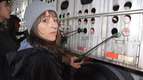 "Los Angeles Animal Save", Ana Valverde, da de beber a un cerdo llevado en camión al matadero el pasado 20 de marzo en el rastro de la empresa Farmer John en Vernon, California. EFE/Iván Mejía