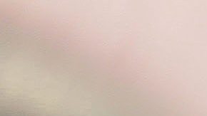 Los lazos de dueños y autos son más fuertes de lo que pensábamos