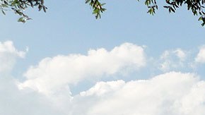 Ir a este parque te podría salir muy caro, por lo que valdría la pena que tuvieras un estrategia de ahorro.