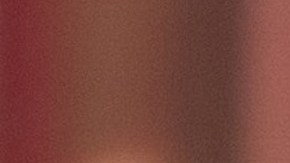 Angelique Boyer se puso el vestido al revés en Premios TVyNovelas 2019