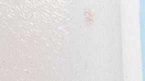 James Gutierrez, fundador de Aura.