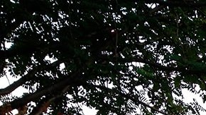 Podrías convertirte en todo un magnate de las bienes raíces con cualquiera de estos negocios.