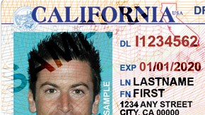 Si no calificas para renovar tu licencia, puedes aprovechar el momento para obtener tu REAL ID