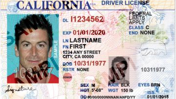 Si no calificas para renovar tu licencia, puedes aprovechar el momento para obtener tu REAL ID
