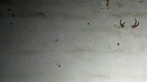 Caro Quintero entrevistado por Anabel Hernández en junio de 2016.