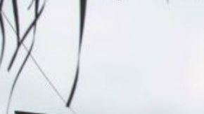 Así luce la casa de Doña Consuelo, mamá de "El Chapo"