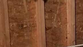 Una transformación total de motor