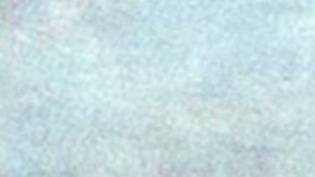 Mamut colombino es el nombre de la especie hallada en California, Texas y México.