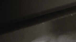 Marzo signo zodiacal