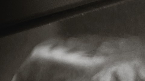 Marzo signo zodiacal