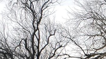 Las inundaciones han rodeado a varios poblados en Nebraska.