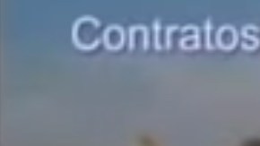 Delfín hasta el fin