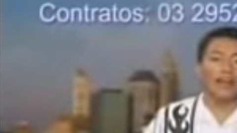 Delfín hasta el fin
