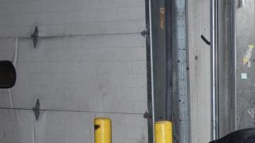 Un operativo interinstitucional permitió hallar la droga.