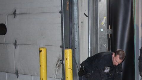 Un operativo interinstitucional permitió hallar la droga.