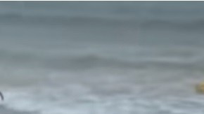 La surfista brasileña de 23 años, Luzimara Souza, murió electrocutada por un rayo cuando entrenaba en el mar