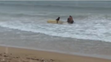 La surfista brasileña de 23 años, Luzimara Souza, murió electrocutada por un rayo cuando entrenaba en el mar