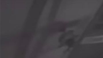 fantasma