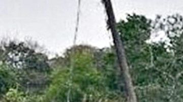 Esta semana se hallaron cuatro cuerpos más, homicidios atribuidos al CJNG.