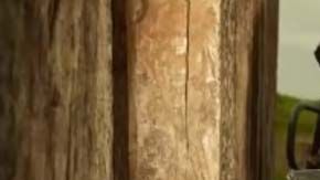 Integrantes de la Fuerza Civil en Veracruz se quejaron de sus condiciones laborales en medio de la lucha contra el narco.