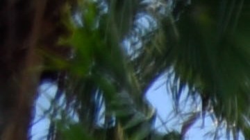 Asistencia al cliente, recompensas y otro servicios también fueron considerados