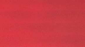 La gimnasta mexicana Alexa Moreno sigue destacando en la especialidad el salto de caballo.