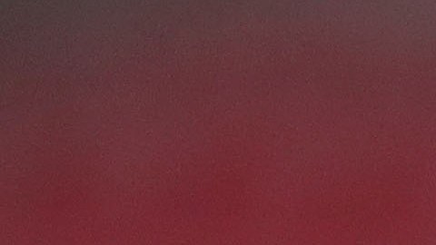 Alan Pulido dejó a las Chivas del Guadalajara.
