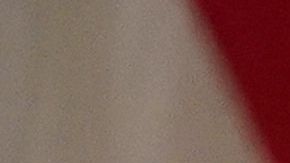 Trump muestra sus habilidades para los negocios