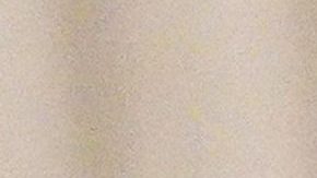 Ivanka estuvo acompañada de su esposo Jared Kushner