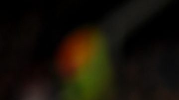 El francés Kylian Mbappe puede convertirse en el nuevo fichaje bomba del Real Madrid.