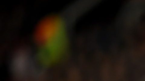 El francés Kylian Mbappe puede convertirse en el nuevo fichaje bomba del Real Madrid.