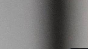 Trump no vaciló en estampar su firma en los libros sagrados