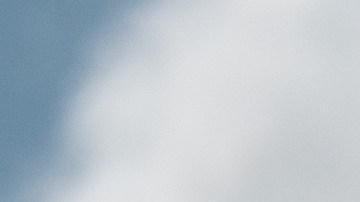 Se anunció un sistema de recompra de las armas semiautomáticas de sus actuales dueños